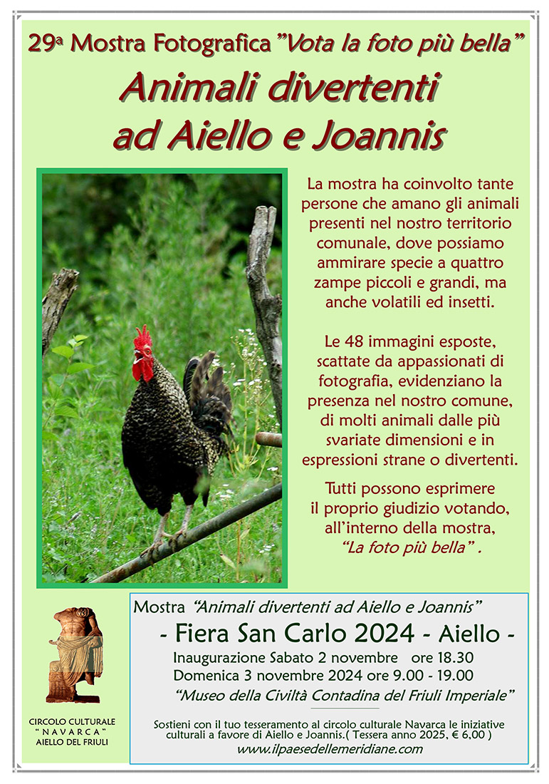 Iniziativa del 2 novembre: mostra fotografica vota la foto pi bella dal titolo "Animali divertenti ad Aiello e Joannis"